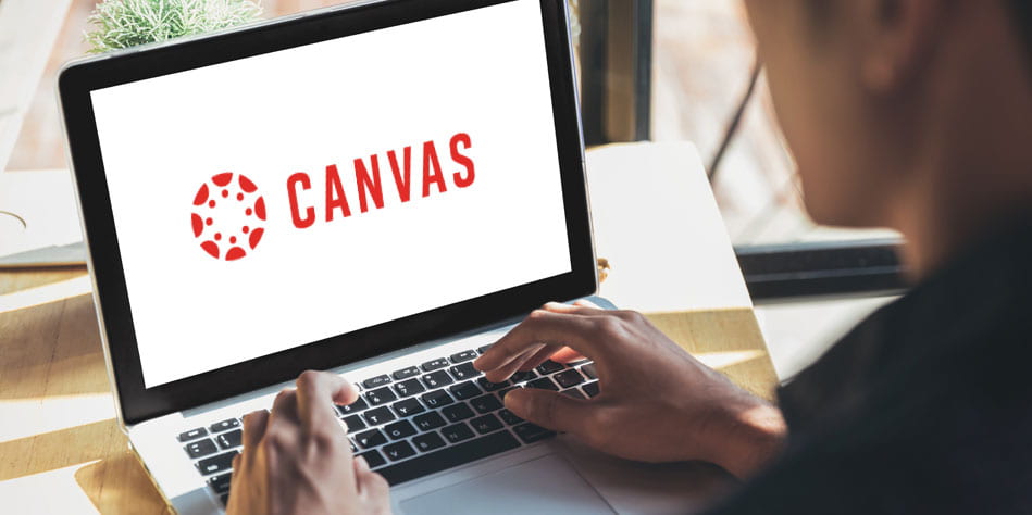 New website has answers to Canvas questions