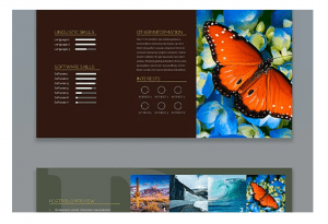 Adobe InDesign CC presentation slide